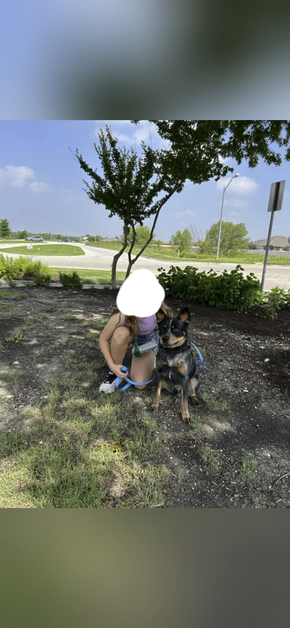 Besitzer und Hund