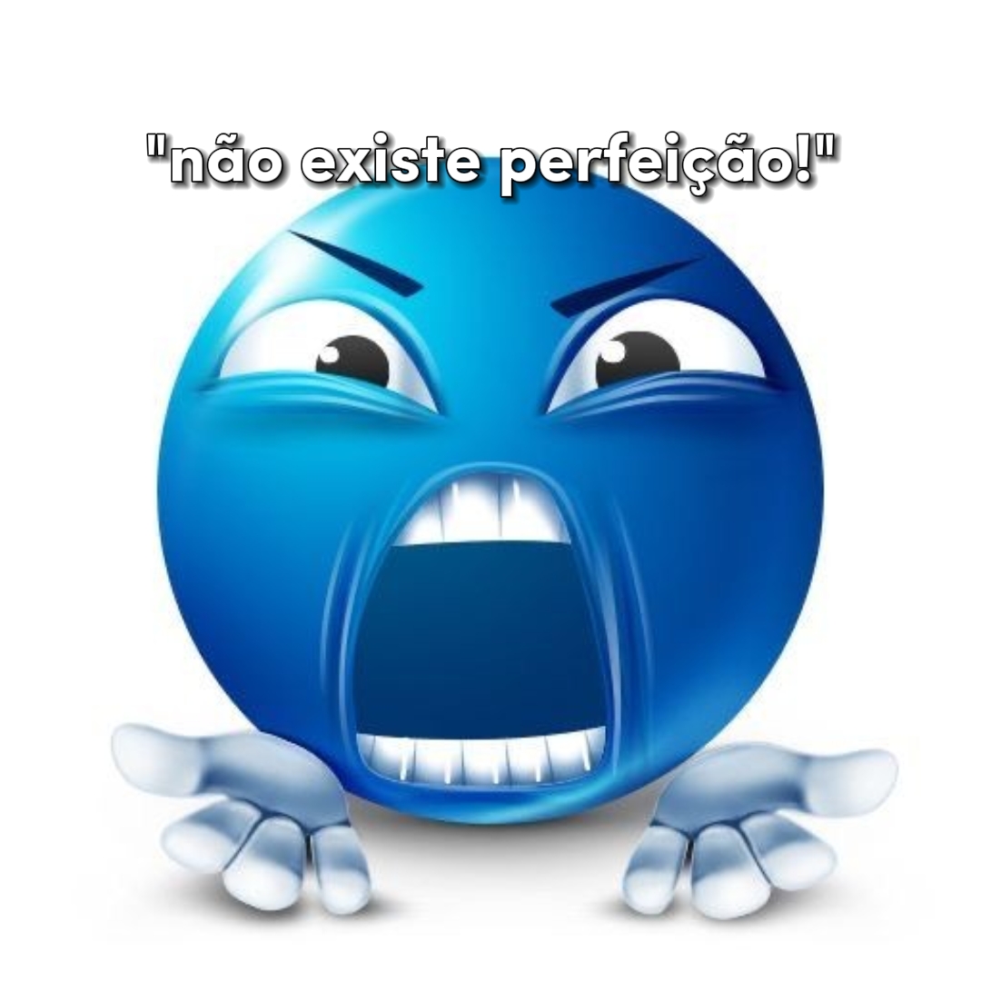 Não existe perfeição