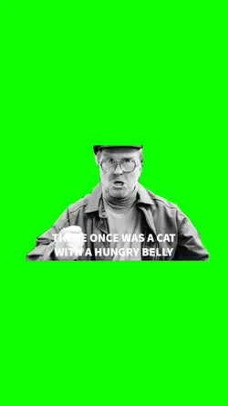 The Kittyman