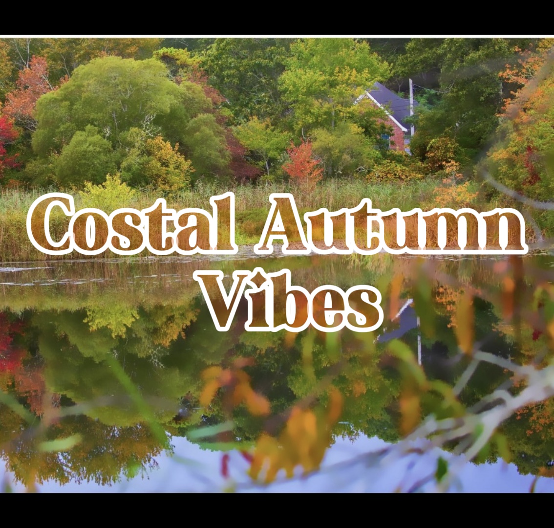 Costal Autumn Vibe