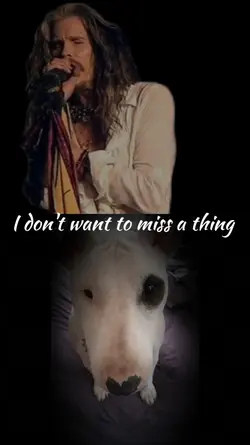 Aerosmith ~ with you