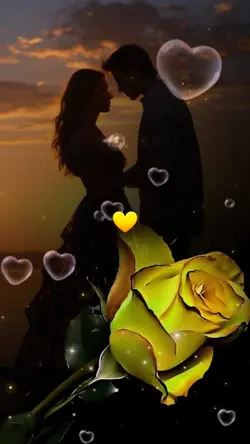 Yellow Rose