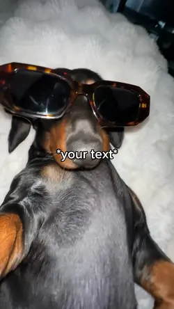 Dog mog