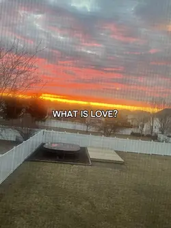 What is love ?