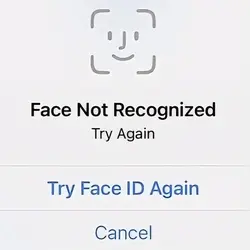 Face ID (TREND)