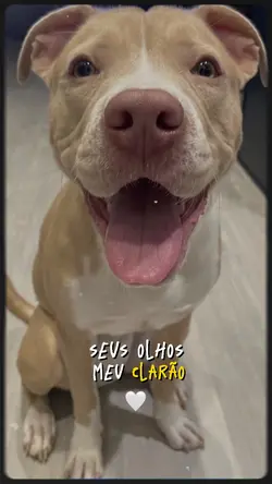 seu olhos meu clarão