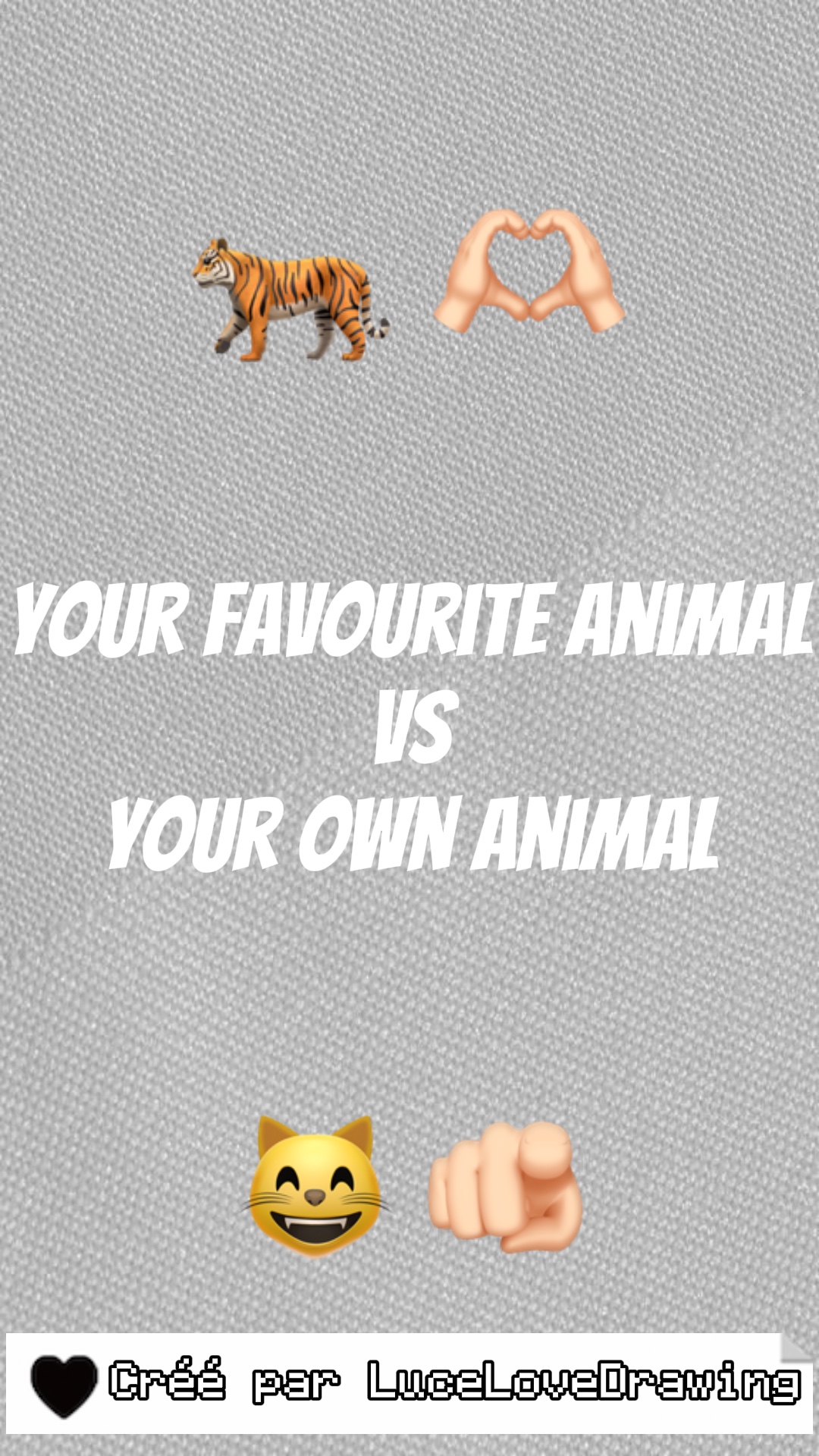 🐅 🫶🏻 VS 😸 🫵🏻