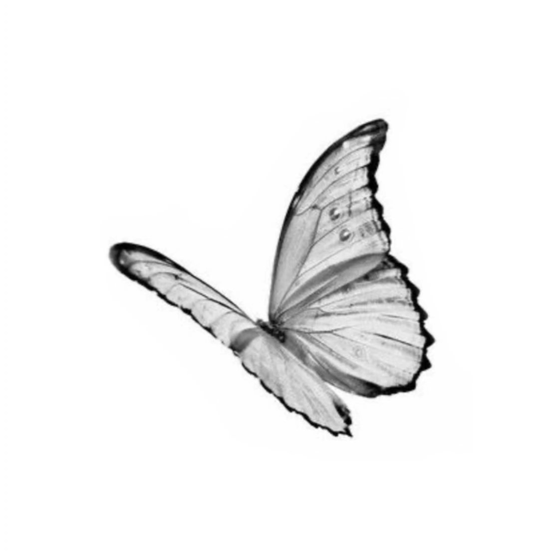 - P ELE NÉ AMORES !