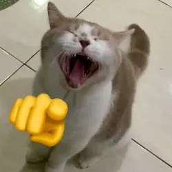 Cat Laughing Meme