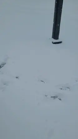 We got more snow 