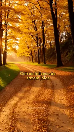 O Sonho de José 🙏🏽