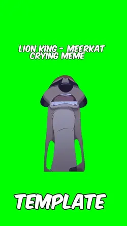 Meerkat Crying Meme 