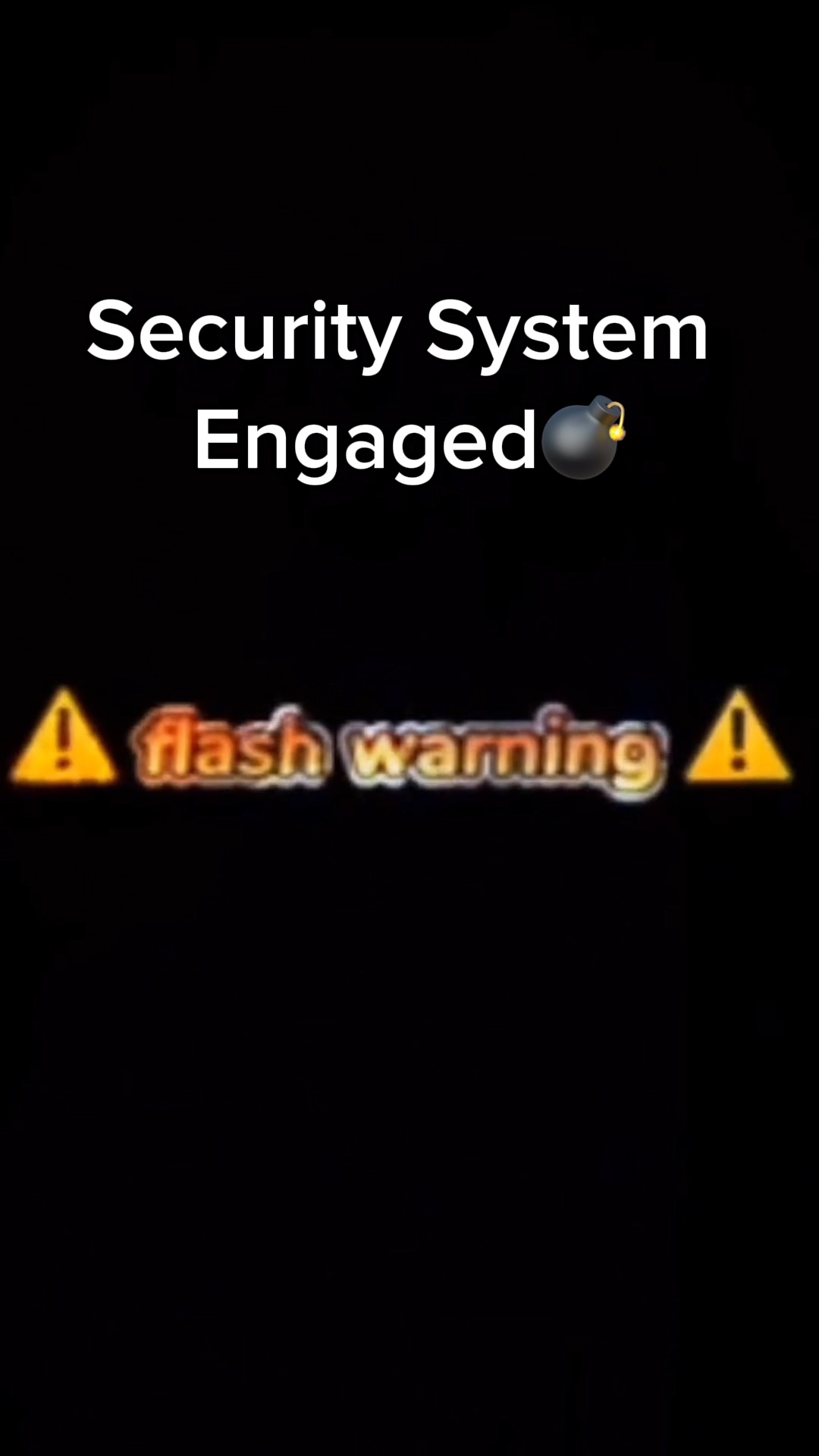Security System 