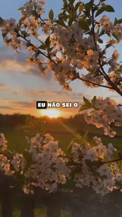 Eu só quero adorar