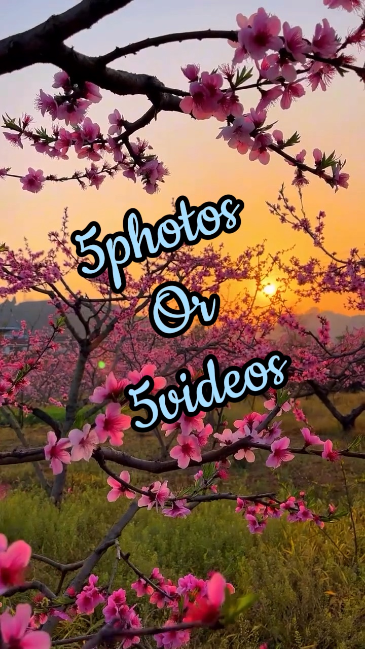 5 fotoğraf / video