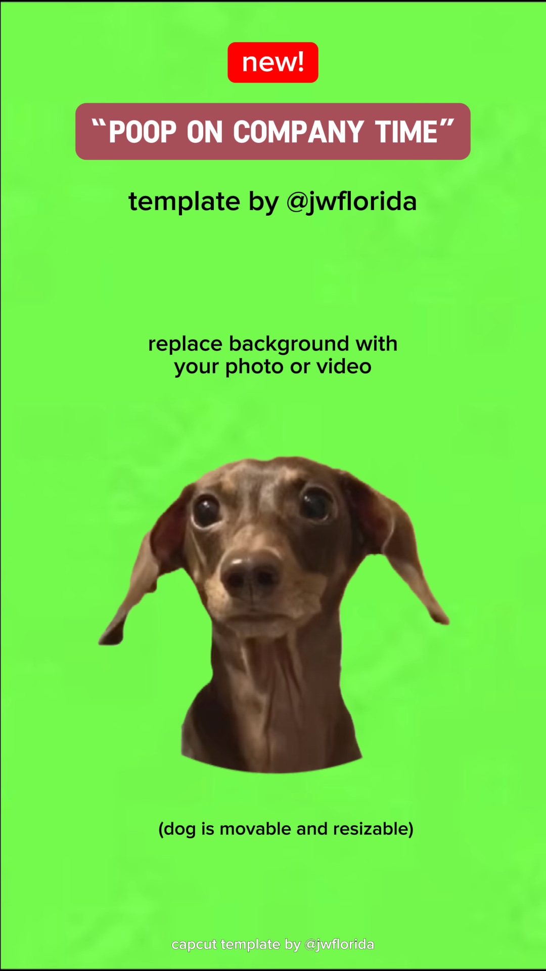 Poop On Company Time