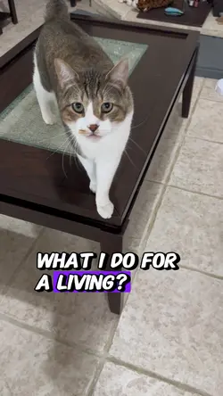 Attention seeker ๐ป