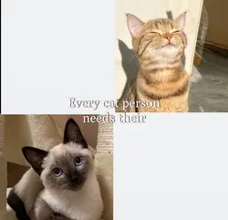 Every cat person