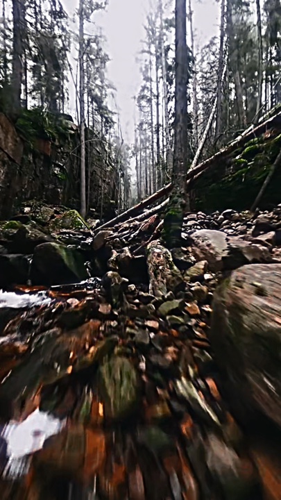 Slowmo Velocity