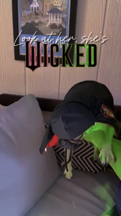 Defying Gravity