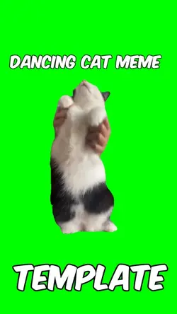 Dancing cat meme 