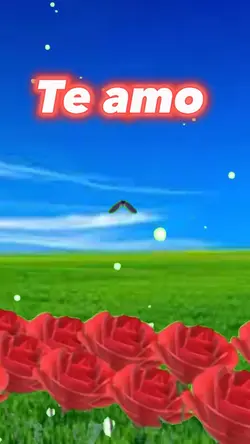 Casal engraçado