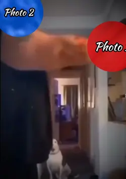 They’re Cooked