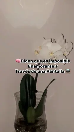 🦂🤎