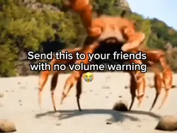 Dancing crab 
