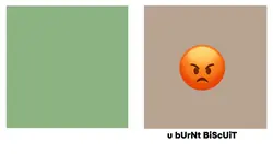 bUrNt bIsCuIt