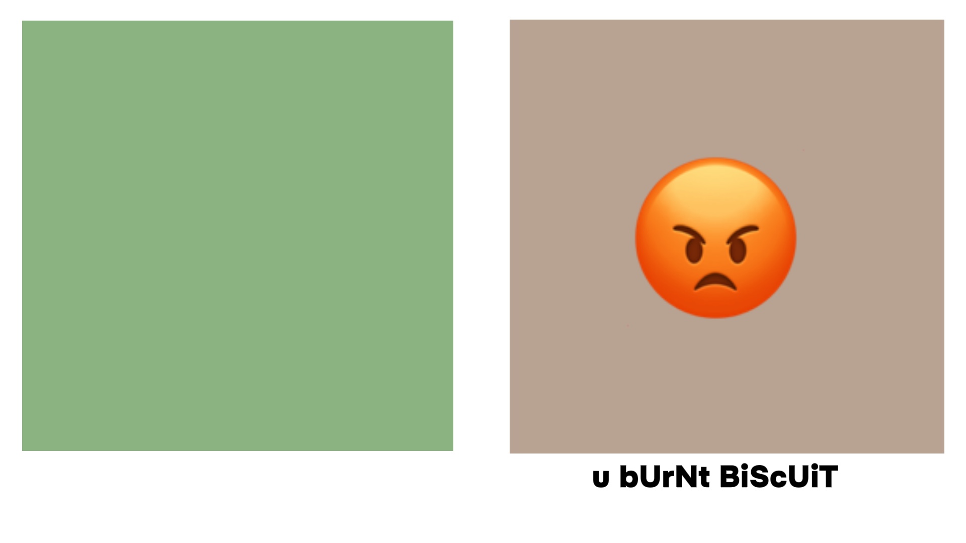 bUrNt bIsCuIt 