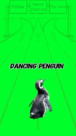 Dancing penguin 