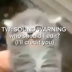 Cat meme sound war