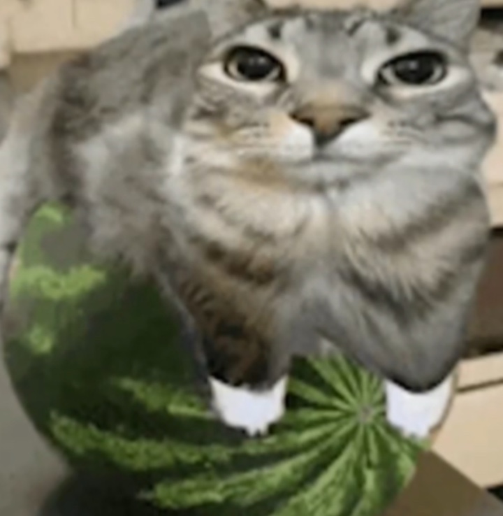 Felis, o, Felis
