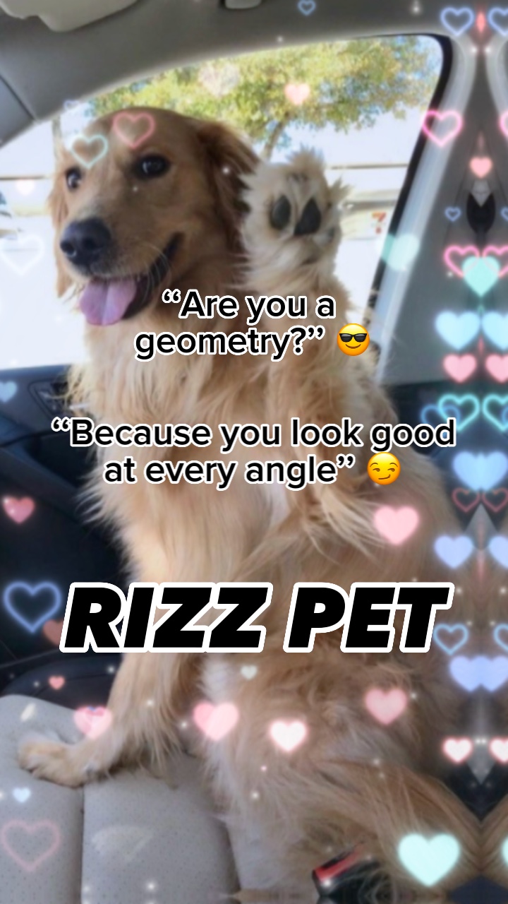 Rizz Haustier 
