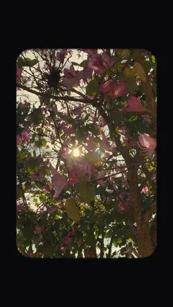 CINEMATOGRÁFICO 00’s