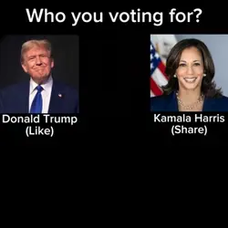 Who you voting for?