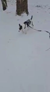 Schneetag 
