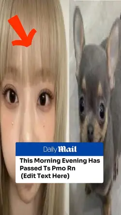 DAILY MAIL MEME