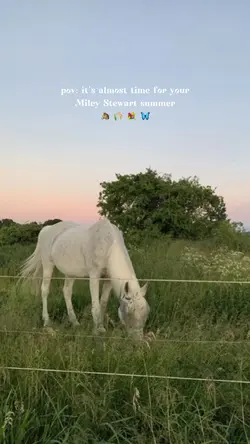 Miley Stewart Summer