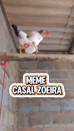 Meme Casal Zoeira