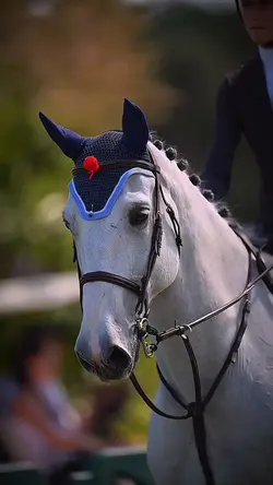 just like candy 🍬 