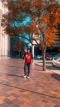 City love 