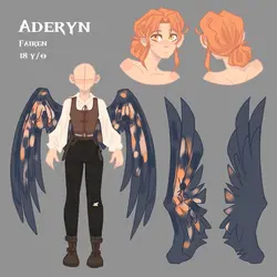 Aderyn Ref Sheet