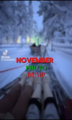 November Photo Dump