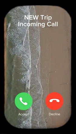 Incoming Trip Call