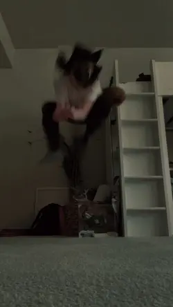 Forgot to post this🧍