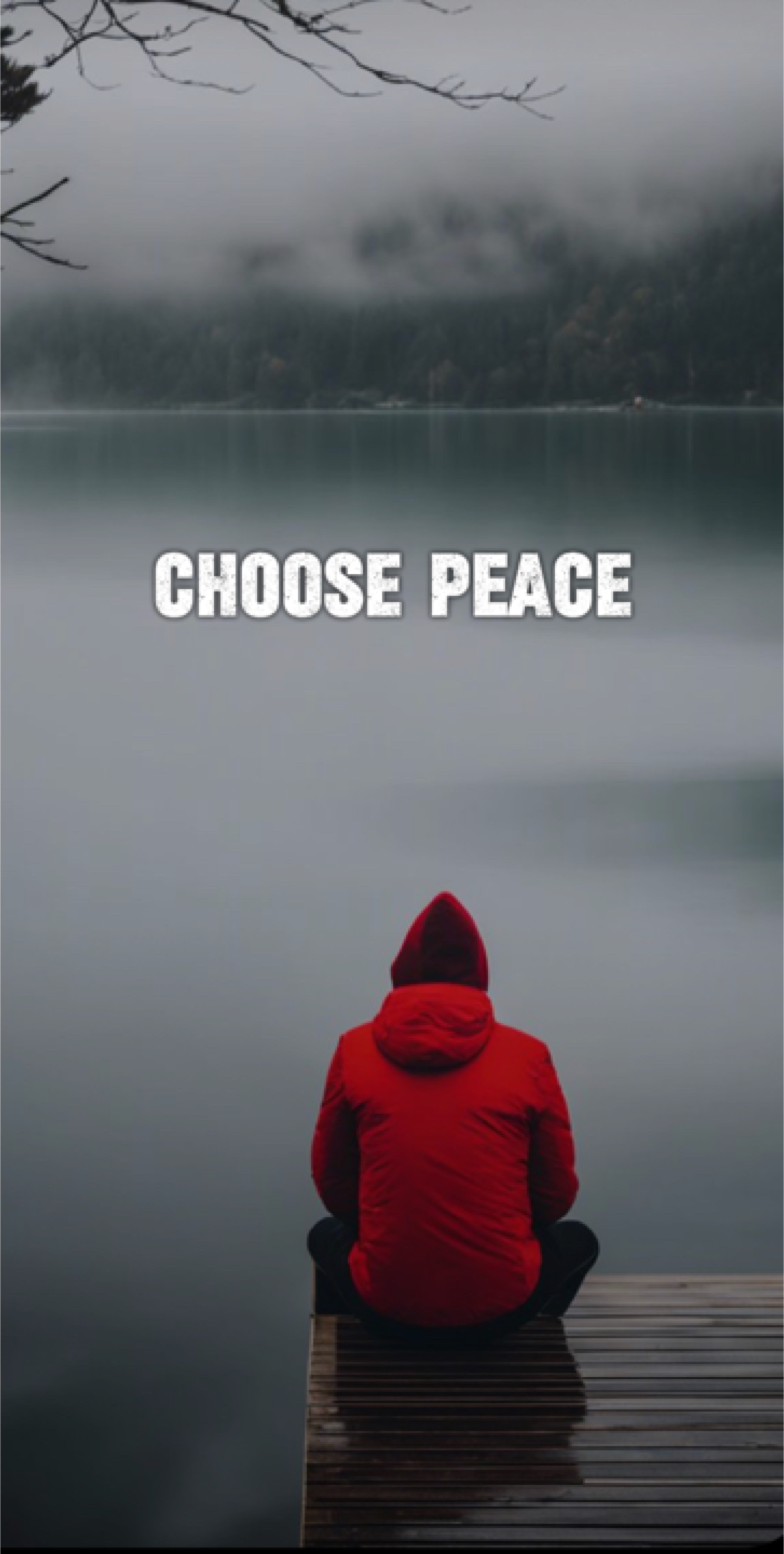 I choose peace 
