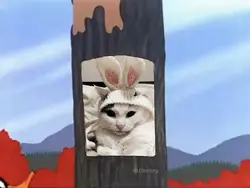 Rabbit season