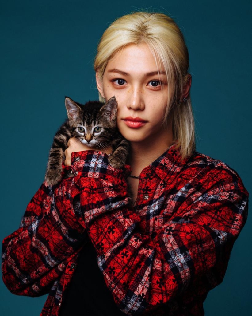 고양이 야옹